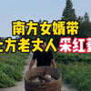 南方女婿带北方老丈人采红菱