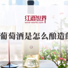 白葡萄酒是怎么酿造的