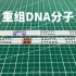 基因工程之重组DNA分子