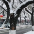 虎年初雪 独自走在街上的人们:)