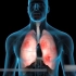3D视频演示肺部结构和工作原理，你的小肺肺，就是这样工作的哦，要好好呵护她哦。