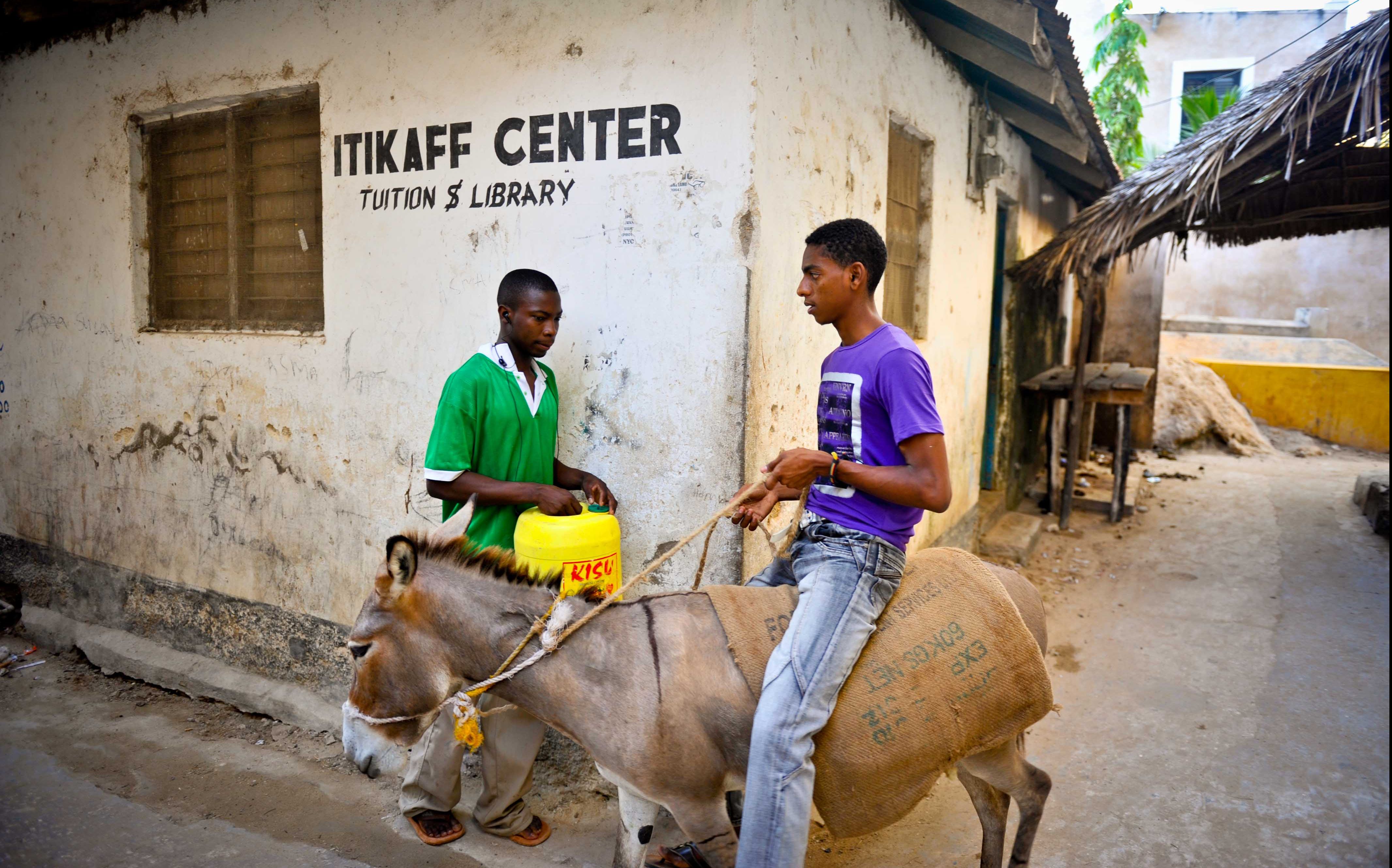 骑驴看世界！非洲人民独特的出行方式【寰球大百科148】