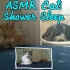 【ASMR】Cat Sounds 正经猫片 洗澡 睡觉 无人声