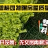 安徽碧桂园被曝房屋质量问题，绿植造假、墙壁渗水，开发商：先交房再解决
