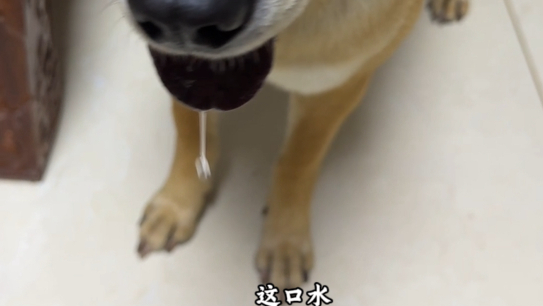 今晚的宵夜“士生”买单！