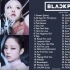 【Playlist】BLACKPINK 最新歌单 更新至JISOO - FLOWER