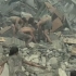【电影剪辑】灾难频发，我们人类能做些什么？5分钟带你回顾“唐山大地震”