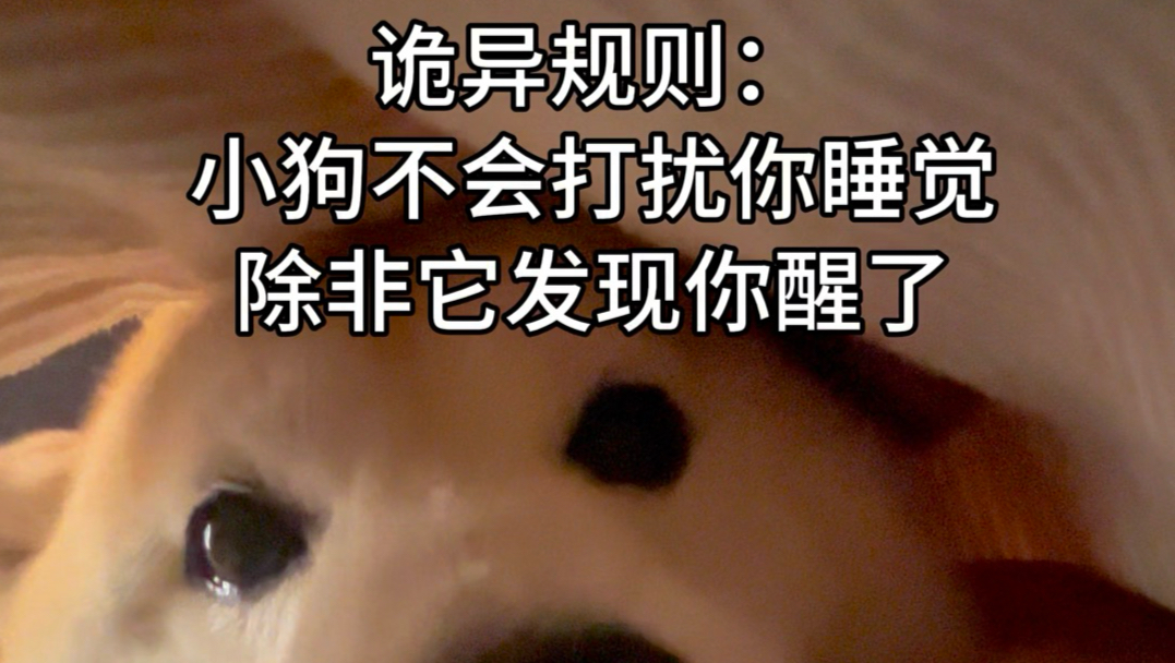 《人！不许装睡了哦！》