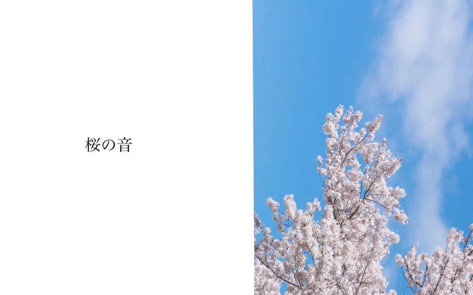 【初音ミク】桜の音【season】