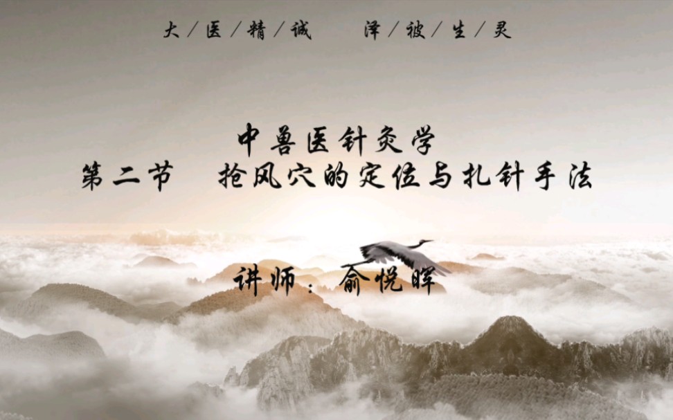 【华夏中兽医学院】宠物针灸经络穴位学习（从入门到精通）必看课程！02 抢风穴的定位与扎针手法