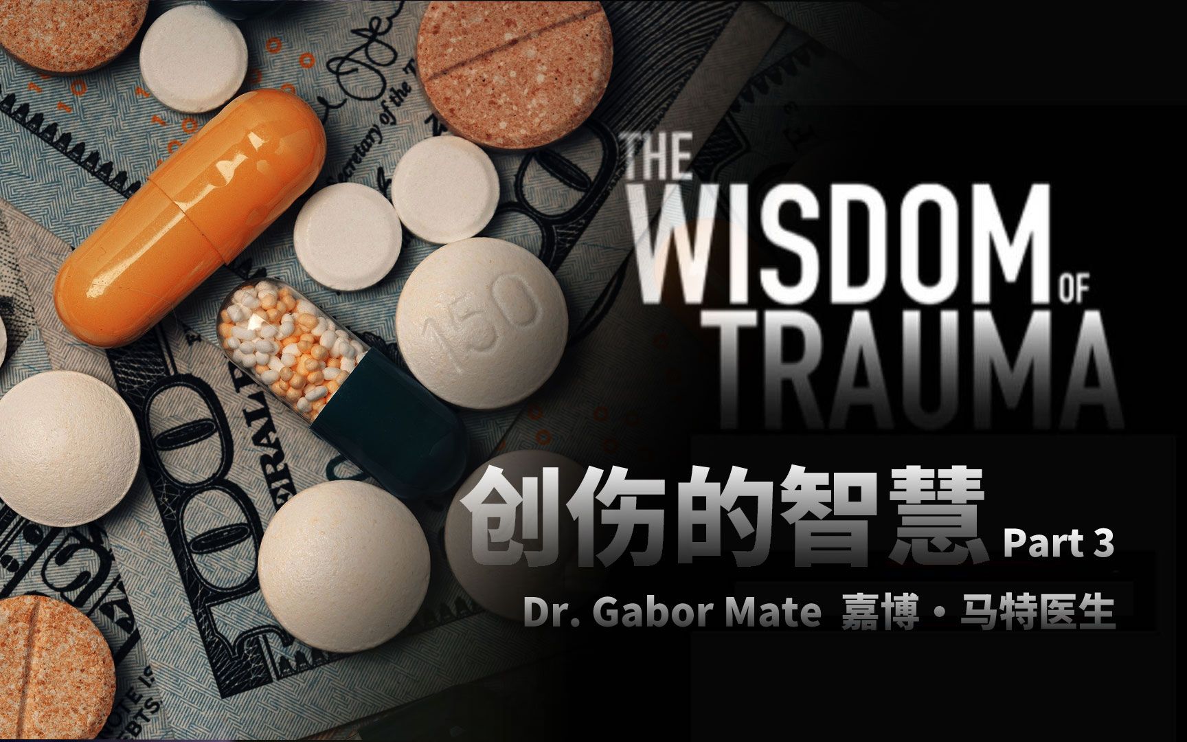 创伤的智慧Part3 Gabor Mate讲述心理创伤与成瘾性的内在联系