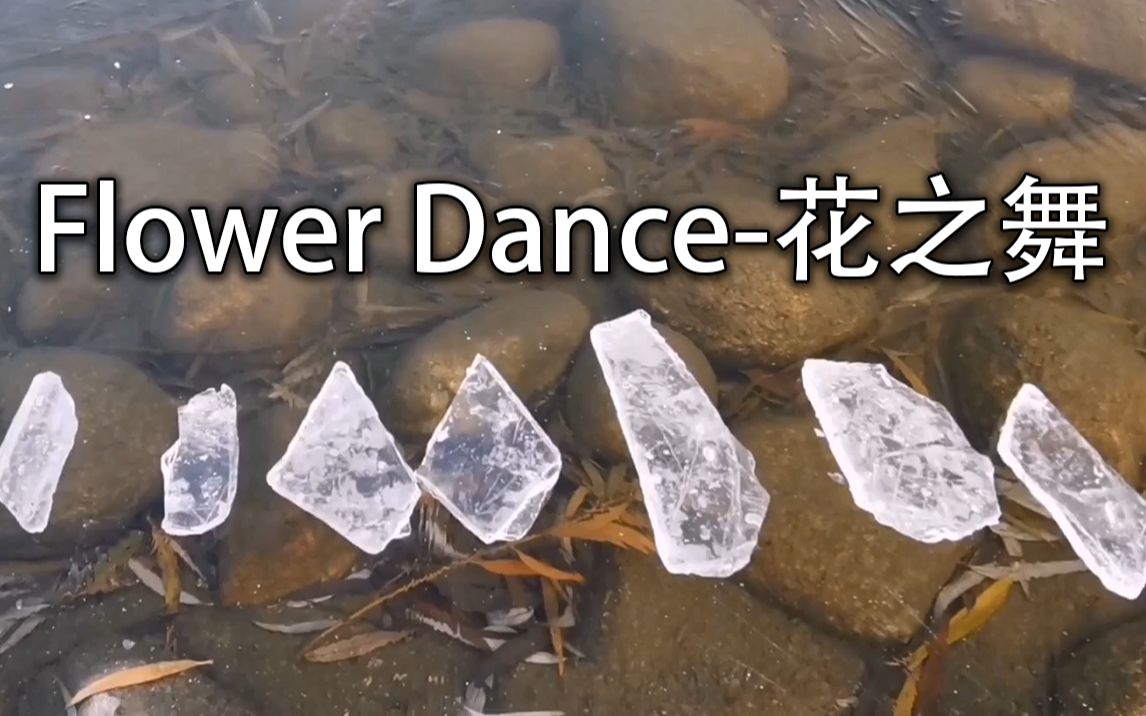 Flower Dance-花之舞（冰块版)