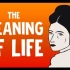 【Ted-ED】西蒙娜·德·波娃论生命的意义 The Meaning Of Life According To Simo