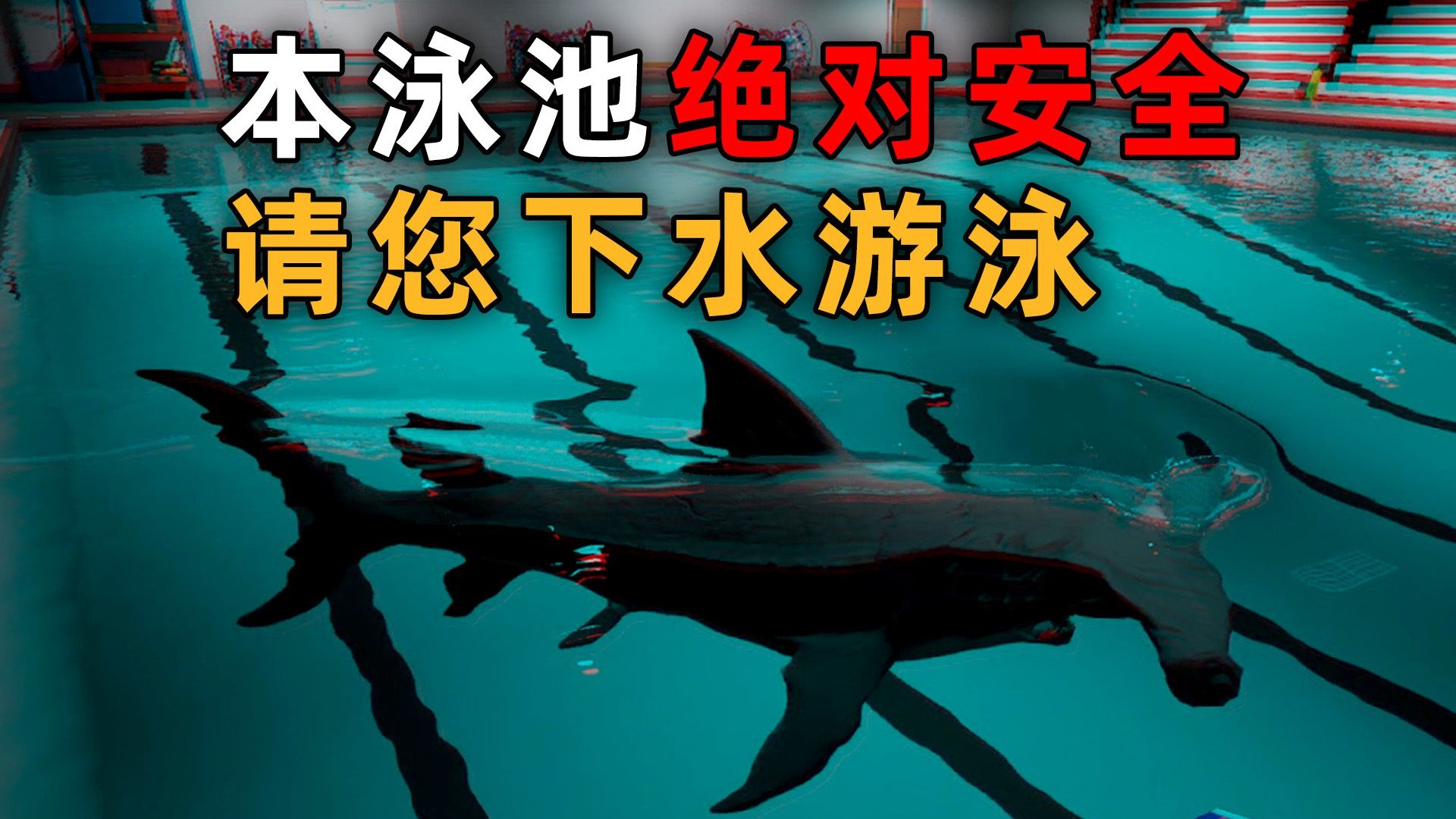 字幕下载