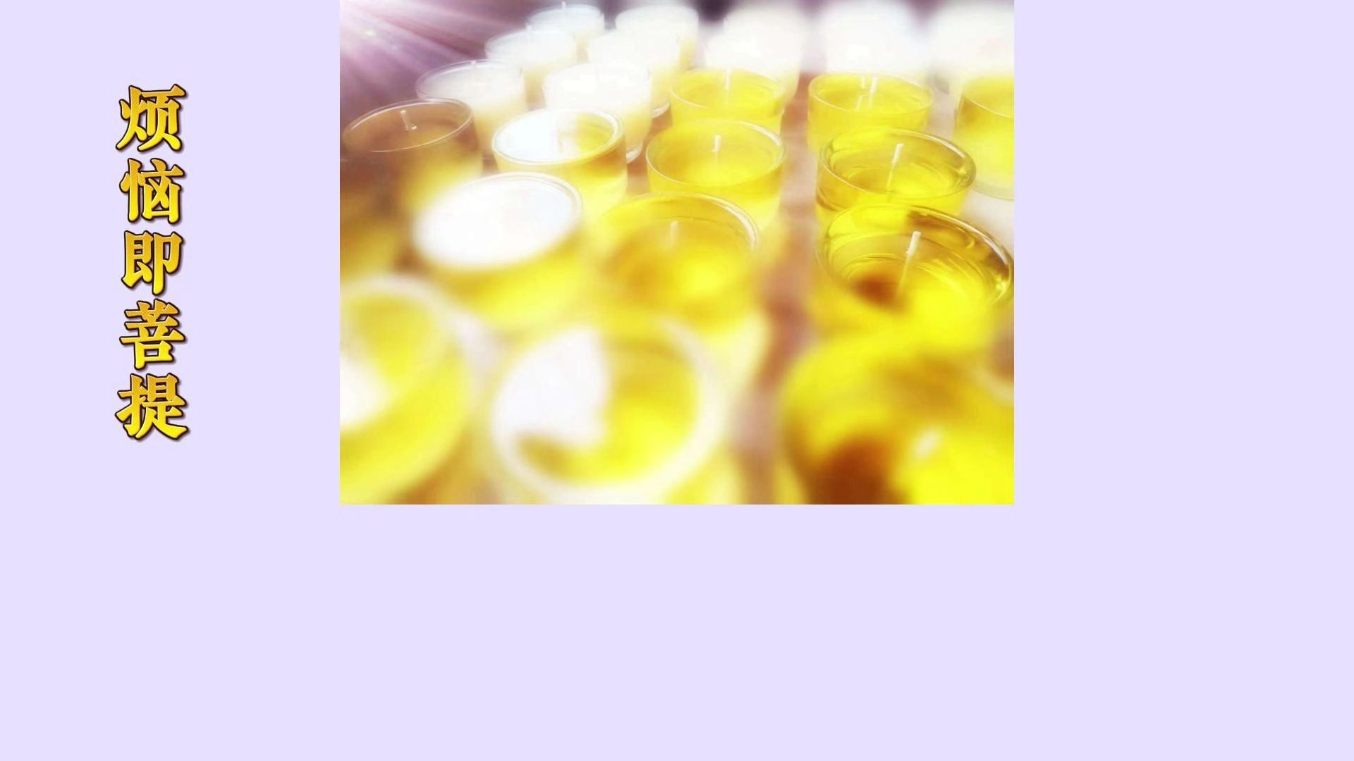 体佛法师开示：烦恼即菩提