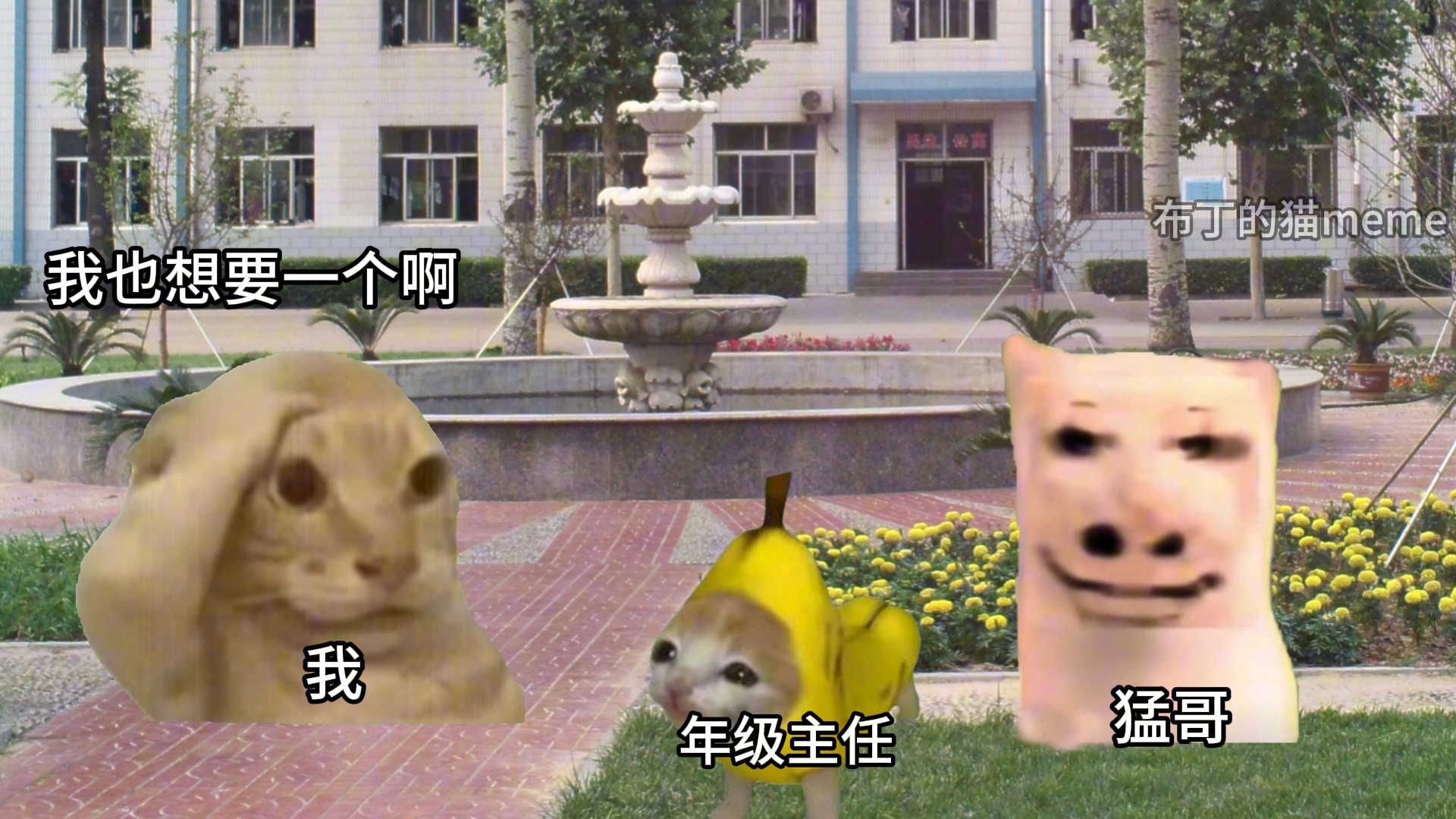 沉迷洛克王国抓宠物