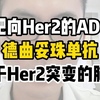 靶向Her2的ADC德曲妥珠单抗，用于Her2突变的肺癌