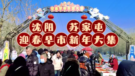 【十马路刚子】沈阳苏家屯迎春早市新年大集 东北接地气的新年赶集