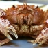 日本街头食品 - 巨大毛蟹 海鲜意大利面