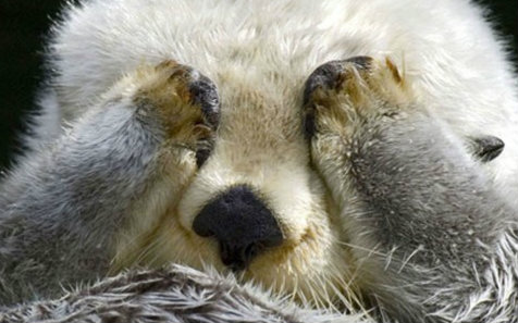 某个小胖子要的RE恐怖片段视频在线观看_ 放