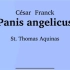 《天赐神粮》（Panis angelicus）正音