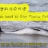 海洋塑料污染 双语 Why We Need to Stop Plastic Pollution？