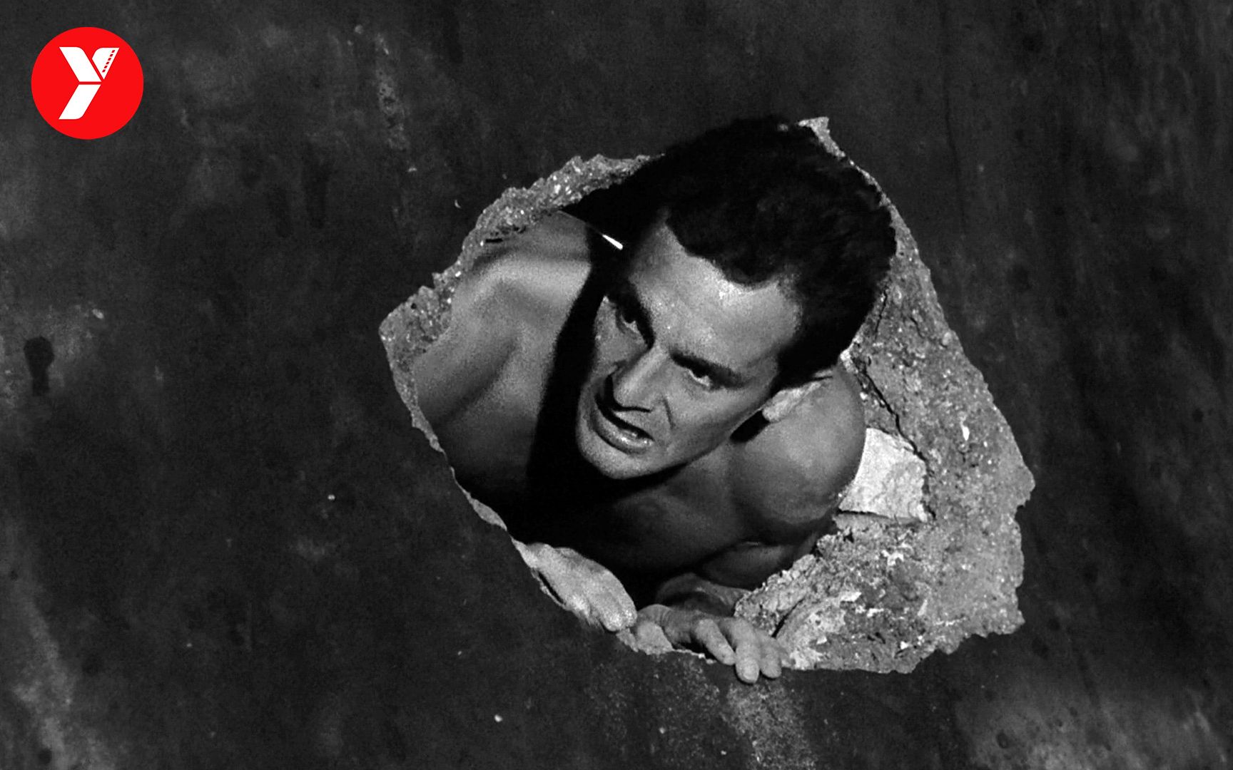 【越哥】影史最伟大的越狱片，比肖申克的救赎早30年，影响后世60年！