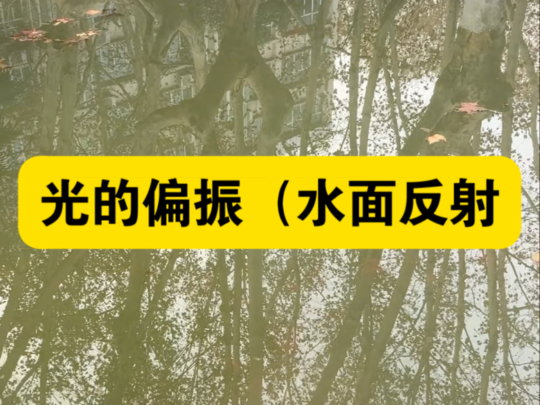 光的偏振（水面反射）