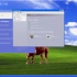 Windows Longhorn Build 5001如何取消欢迎屏幕