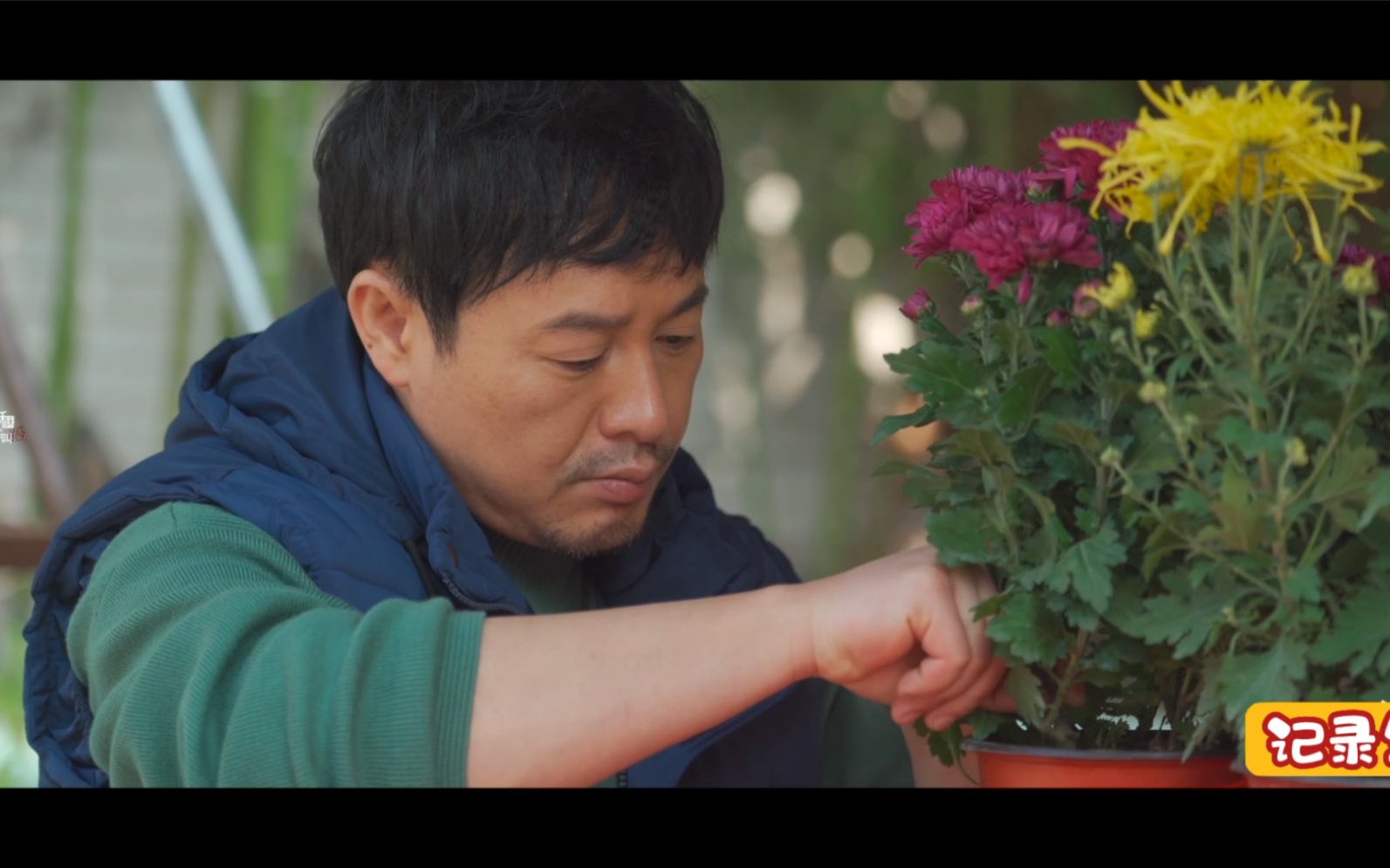 张颂文在北京顺义的农家小院惬意舒适，跟向往的生活一样！