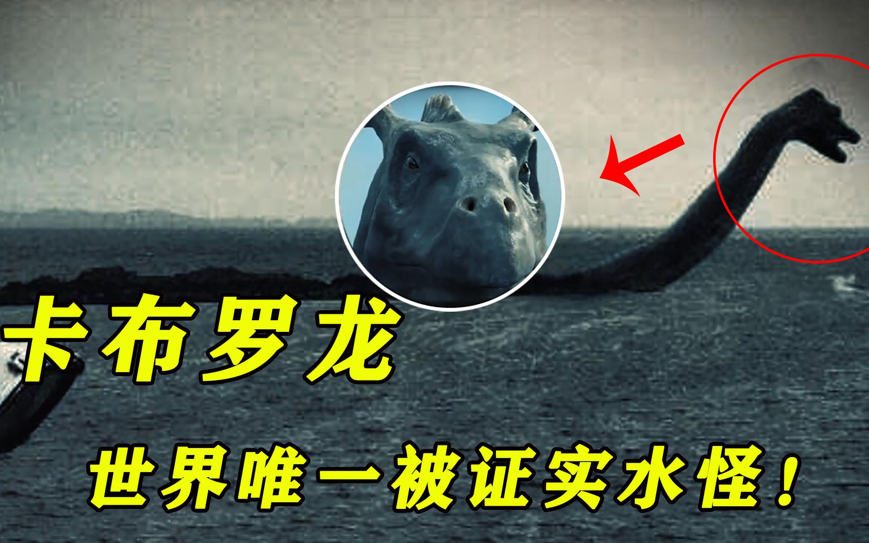 龙真的存在？两条中国龙流失日本，其中一条是神作，另一条是真龙|龙图|真龙|龙_新浪新闻