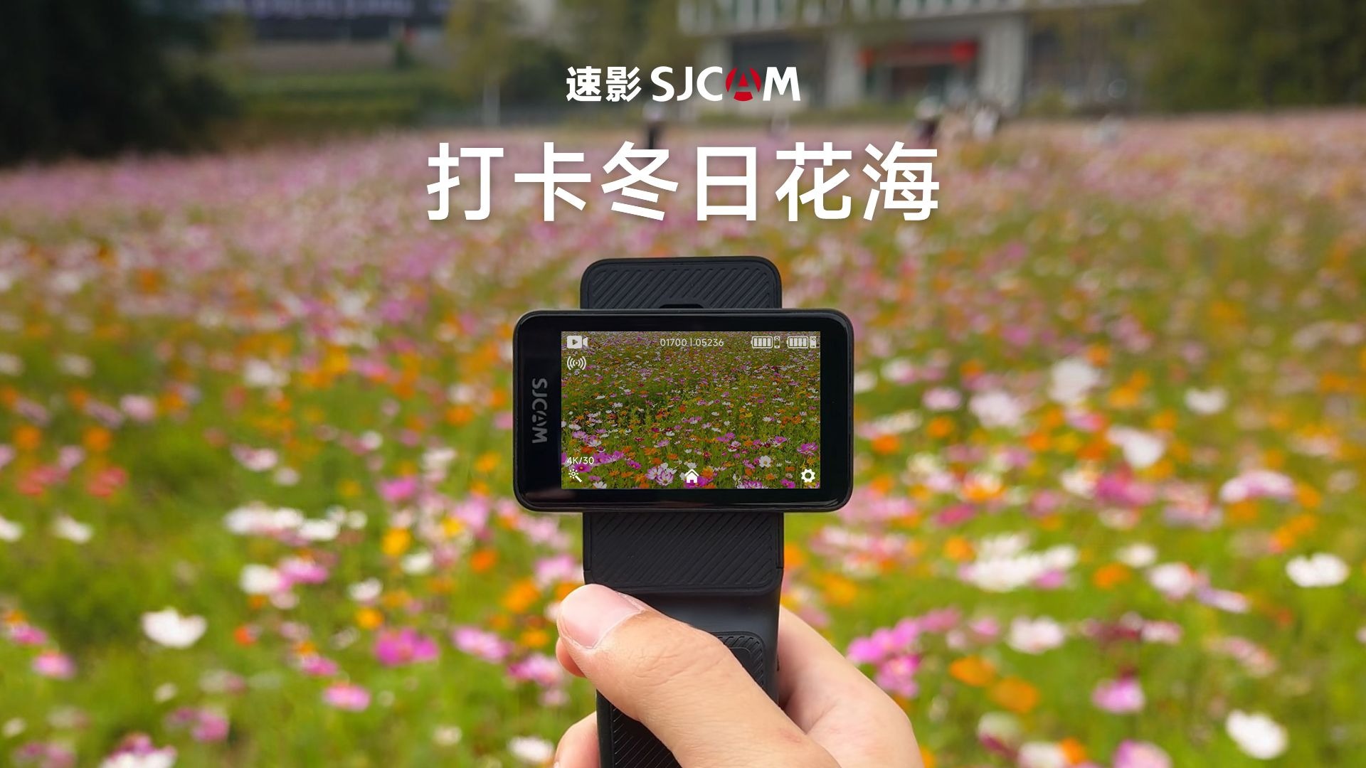 热爱生活从记录生活开始