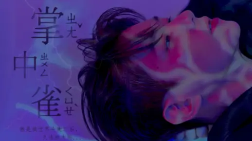 橙光-掌中雀