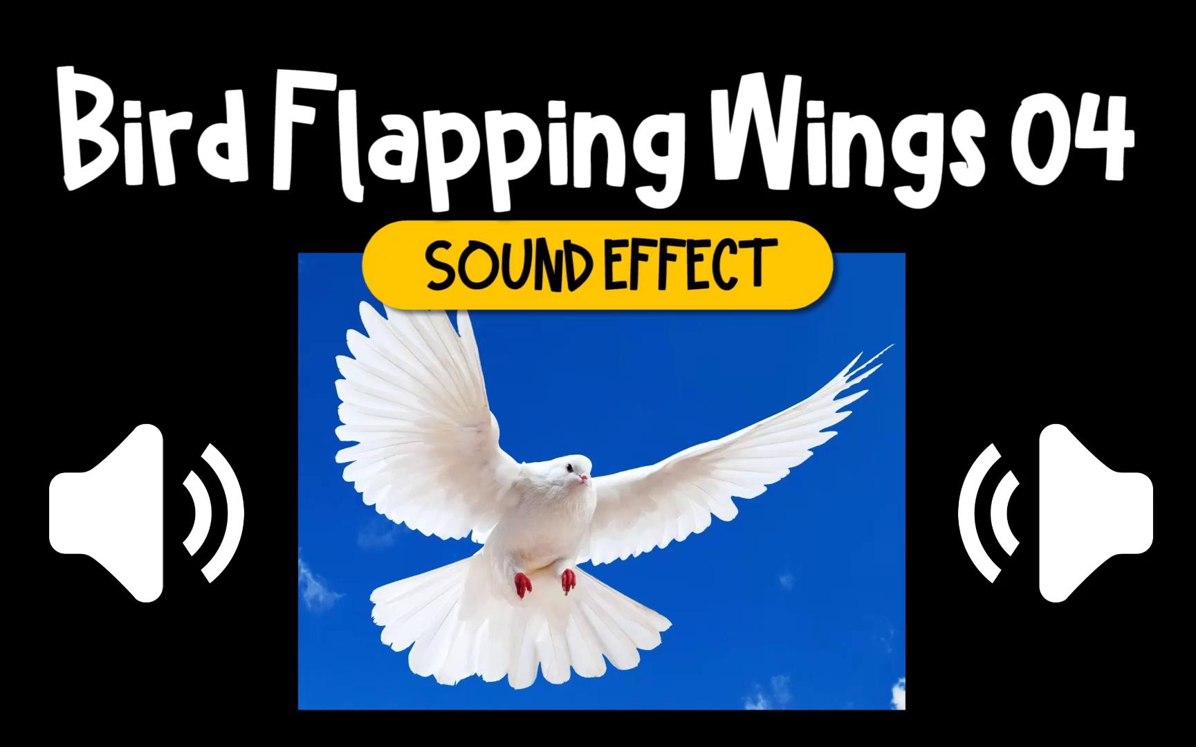 翅膀 #04 飞 拍打 鸟 动物 音效 (HQ)