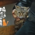 猫猫面馆｜有温度的街巷小店，是招牌的明星店猫【电影《爱情神话》取景地】【微纪录片】