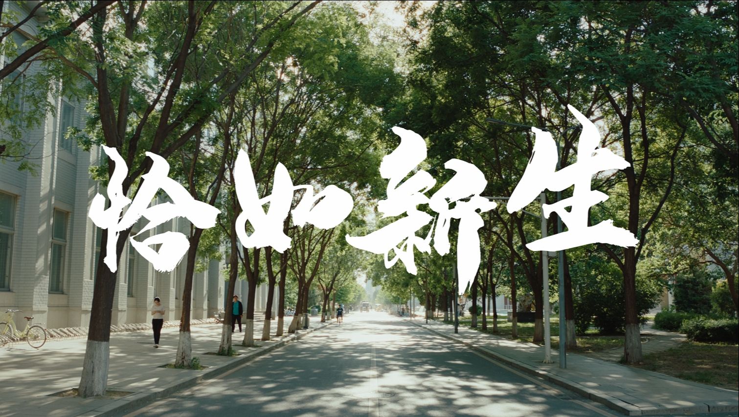 恰如新生！东北大学2024年招生宣传片发布！