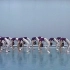 【中国舞技巧教程合集】舞蹈武功毯子功 技巧中专女班教材与教法 北舞附中教材教程（21P）
