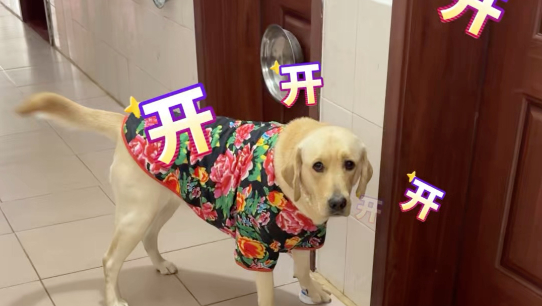 狗：今天按钮结巴了？