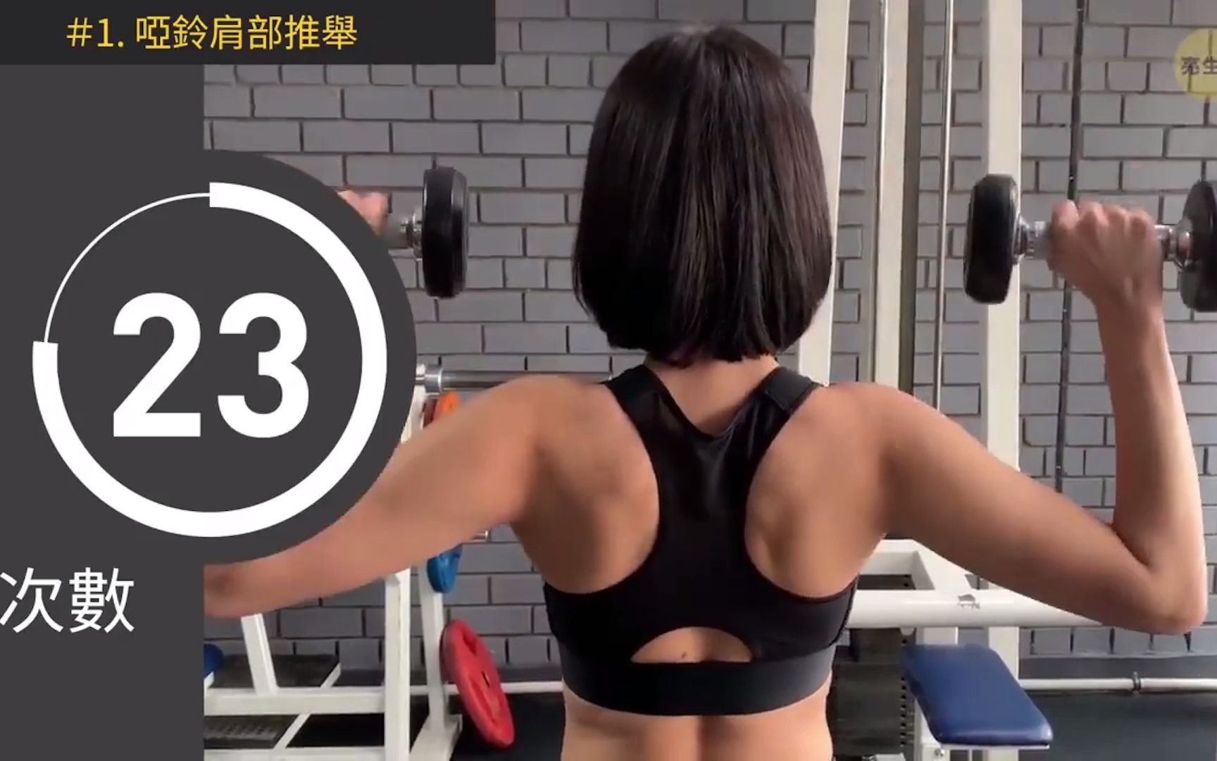 【跟练版】8分钟 哑铃快速瘦手臂动作纯享 每天一遍