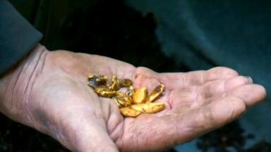 淘金者的梦想：大吸铁石寻黄金