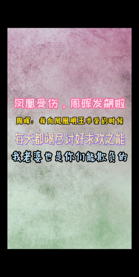 提灯映桃花凤凰受伤周晖发飙啦我老婆也是你们能欺负的周晖我也只是在