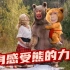 【STN快报第七季22】养成熊孩子的方式被博德之门3找到了！