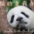 关于熊猫不得不讲的有趣事实！！！