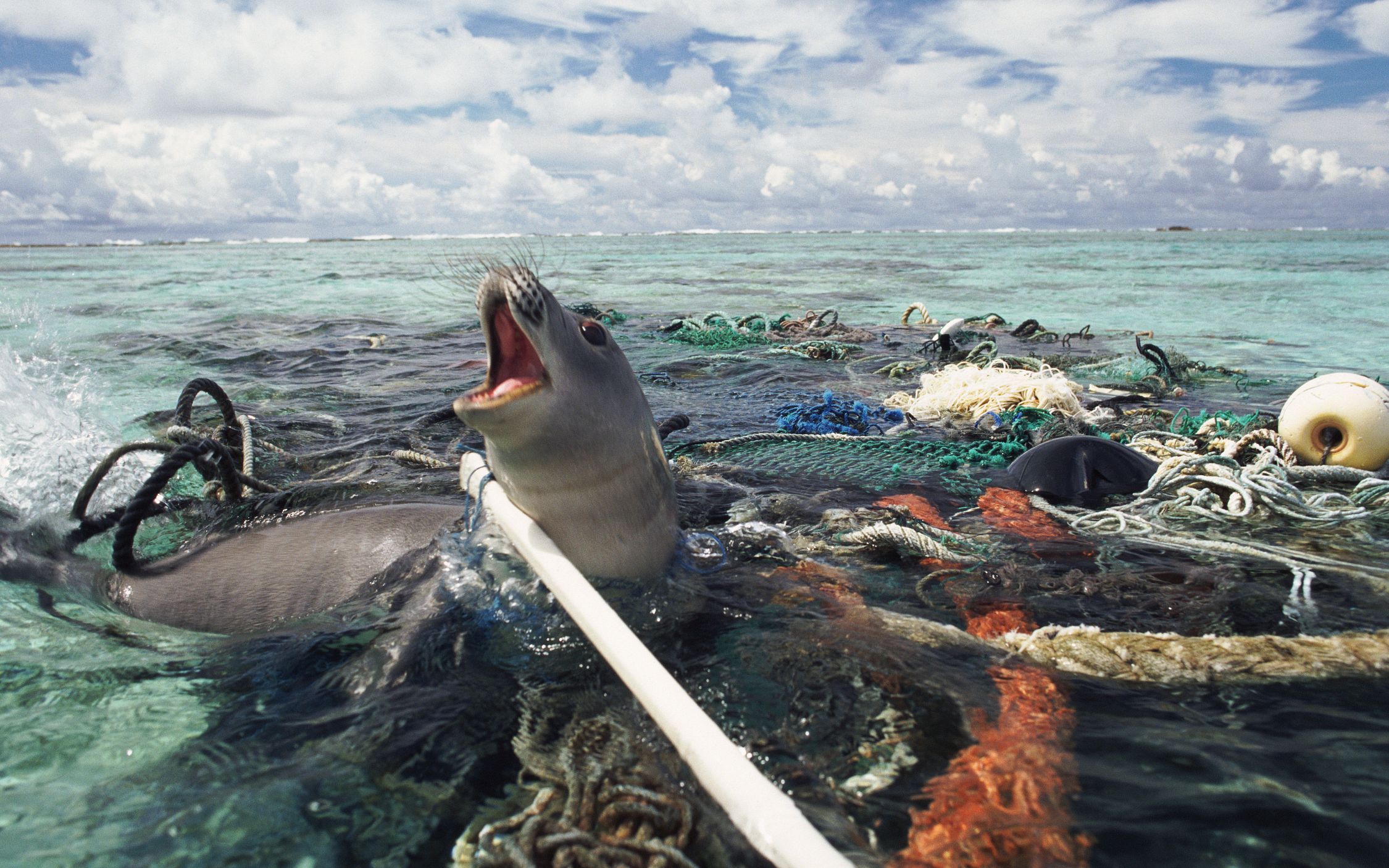 99%的海洋塑料垃圾都去哪了？原来海底有个垃圾场_凤凰网