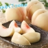 【日本科学技术】水蜜桃罐头(白桃罐头)的制造流程「中文字幕@YuukiToono 」