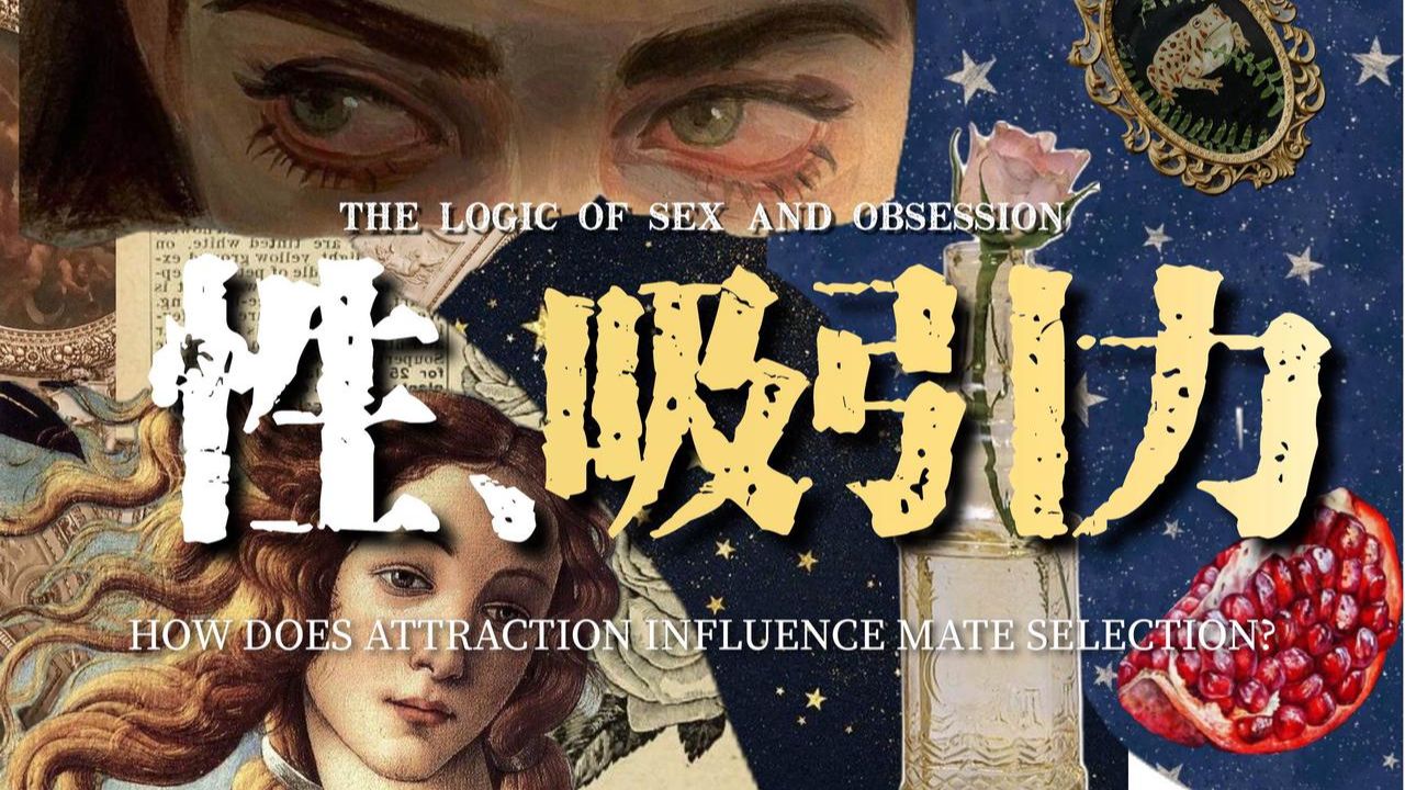 性、爱、吸引力和痴迷的逻辑| 恋爱不是追的，要靠吸引！