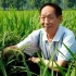Yuan Longping_Seawater rice_a solution for global food secur