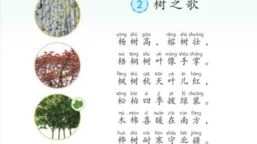 识字2《树之歌》部编版小学语文二年级上册课文朗读#每天学习一点点#一起学习 #二年级语文上册 #课文朗读小学语文