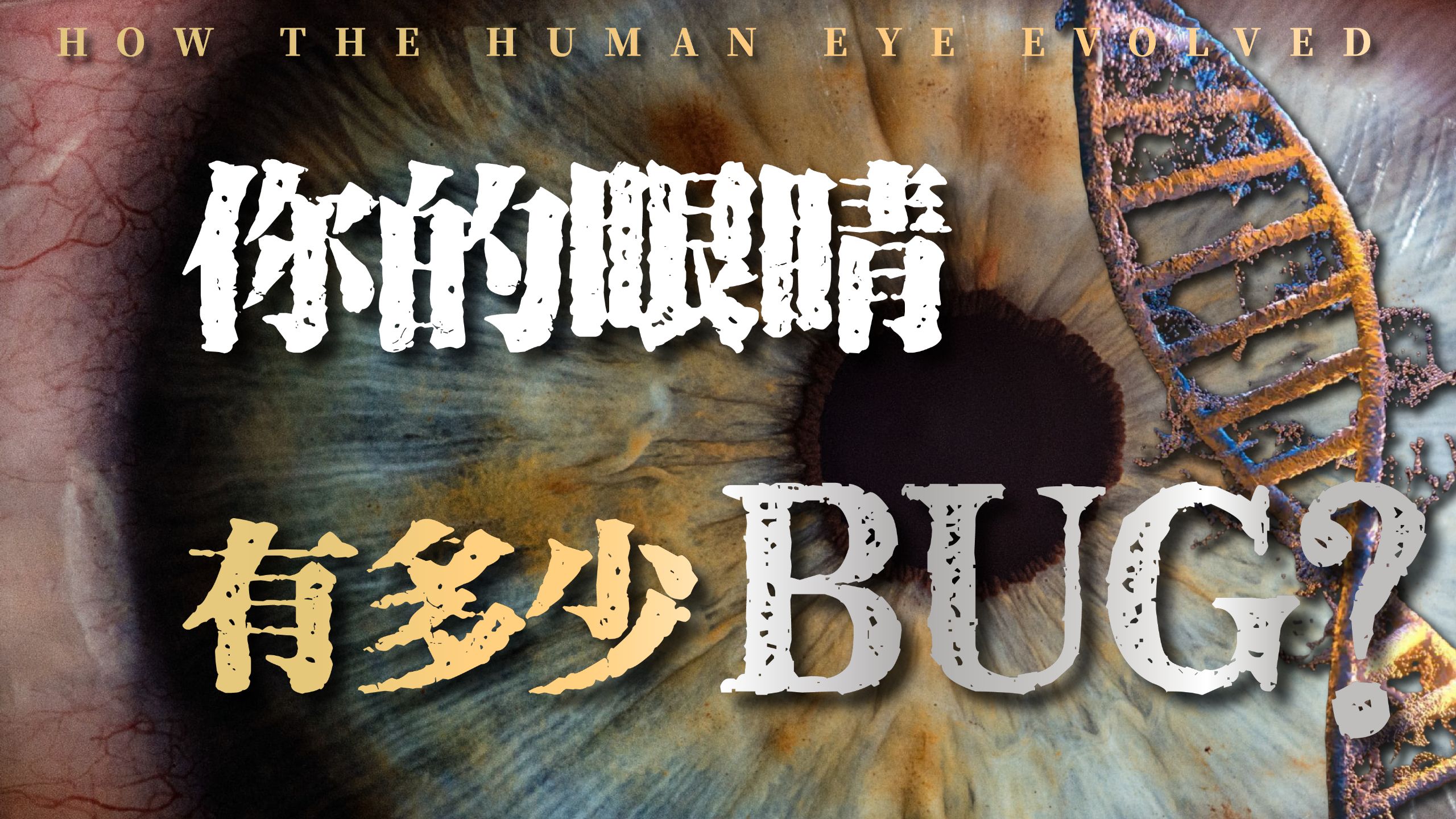 你的眼睛，有多少BUG？为啥人类的眼睛是“残次品”？