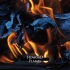 【原创电音】【Bass House】HoworD - Flames
